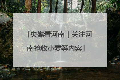 央媒看河南｜关注河南抢收小麦等内容