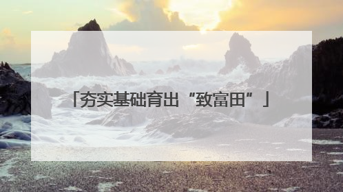 夯实基础育出“致富田”