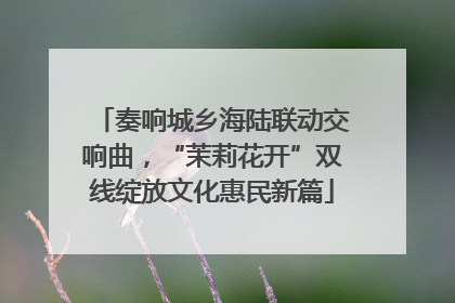奏响城乡海陆联动交响曲，“茉莉花开”双线绽放文化惠民新篇