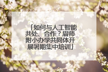 如何与人工智能共处、合作？眉师附小办学共同体开展暑期集中培训