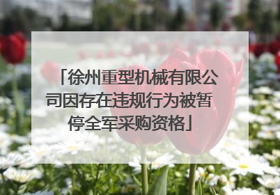 徐州重型机械有限公司因存在违规行为被暂停全军采购资格