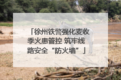 徐州铁警强化麦收季火患管控 筑牢线路安全“防火墙”