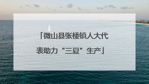 微山县张楼镇人大代表助力“三夏”生产
