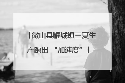 微山县驩城镇三夏生产跑出 “加速度”