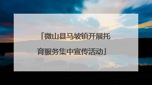 微山县马坡镇开展托育服务集中宣传活动