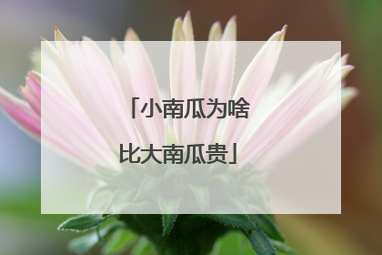 小南瓜为啥比大南瓜贵