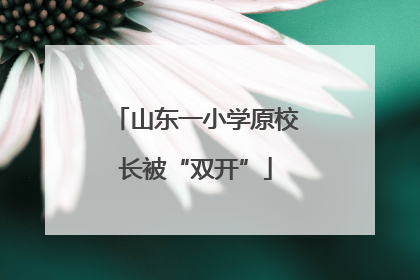 山东一小学原校长被“双开”