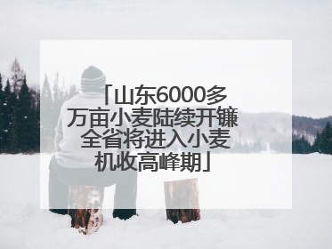 山东6000多万亩小麦陆续开镰 全省将进入小麦机收高峰期