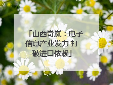 山西岢岚：电子信息产业发力 打破进口依赖