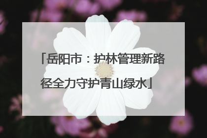岳阳市：护林管理新路径全力守护青山绿水