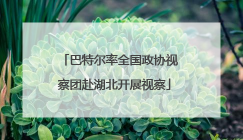 巴特尔率全国政协视察团赴湖北开展视察