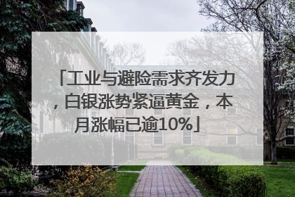 工业与避险需求齐发力，白银涨势紧逼黄金，本月涨幅已逾10%