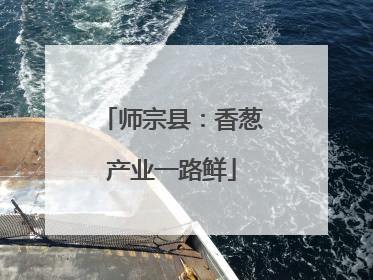 师宗县：香葱产业一路鲜