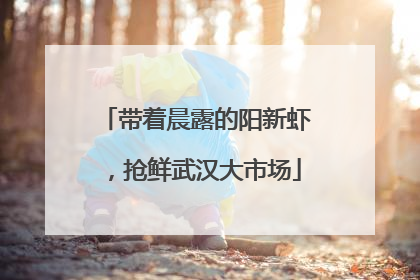 带着晨露的阳新虾，抢鲜武汉大市场