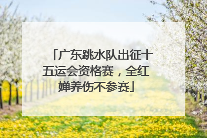 广东跳水队出征十五运会资格赛，全红婵养伤不参赛