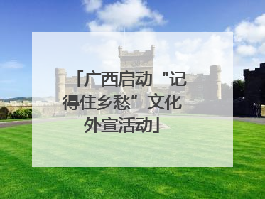 广西启动“记得住乡愁”文化外宣活动