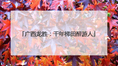 广西龙胜：千年梯田醉游人
