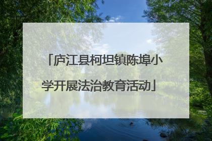 庐江县柯坦镇陈埠小学开展法治教育活动