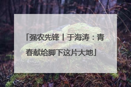 强农先锋丨于海涛：青春献给脚下这片大地