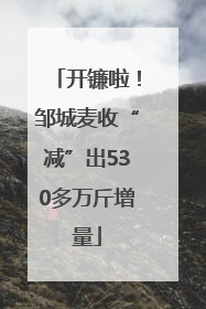 开镰啦！邹城麦收“减”出530多万斤增量