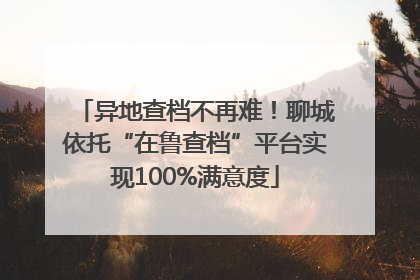 异地查档不再难！聊城依托“在鲁查档”平台实现100%满意度