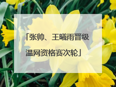 张帅、王曦雨晋级温网资格赛次轮