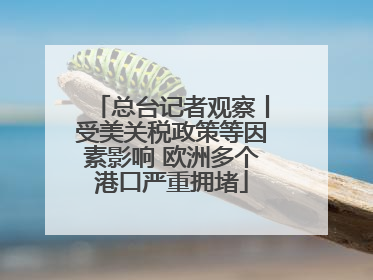 总台记者观察丨受美关税政策等因素影响 欧洲多个港口严重拥堵