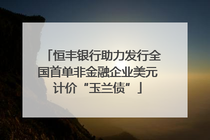 恒丰银行助力发行全国首单非金融企业美元计价“玉兰债”