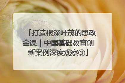 打造根深叶茂的思政金课｜中国基础教育创新案例深度观察③