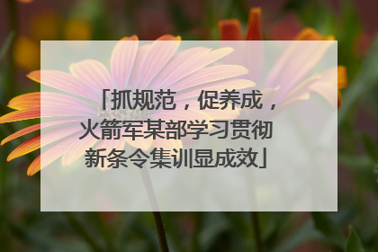 抓规范，促养成，火箭军某部学习贯彻新条令集训显成效