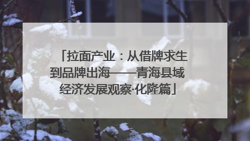 拉面产业：从借牌求生到品牌出海——青海县域经济发展观察·化隆篇