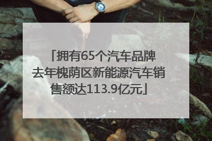 拥有65个汽车品牌 去年槐荫区新能源汽车销售额达113.9亿元