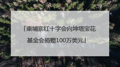 柬埔寨红十字会向坤塔宝花基金会捐赠100万美元