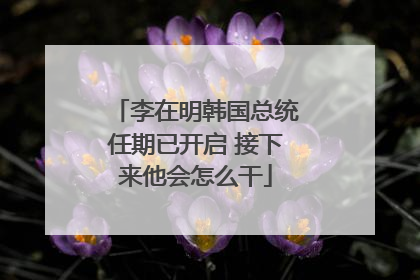 李在明韩国总统任期已开启 接下来他会怎么干