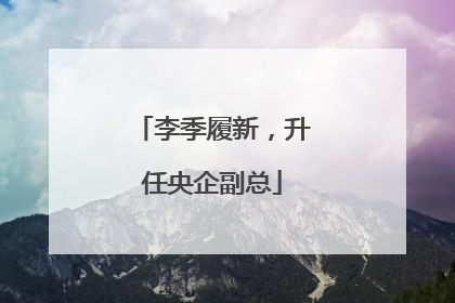 李季履新，升任央企副总
