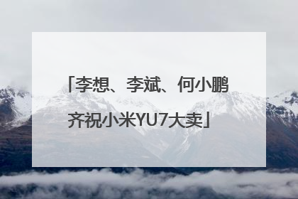 李想、李斌、何小鹏齐祝小米YU7大卖