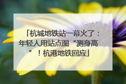 杭城地铁站一幕火了：年轻人用站点图“测身高”！杭港地铁回应