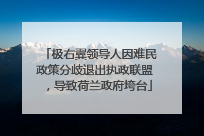 极右翼领导人因难民政策分歧退出执政联盟，导致荷兰政府垮台