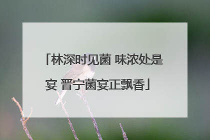 林深时见菌 味浓处是宴 晋宁菌宴正飘香