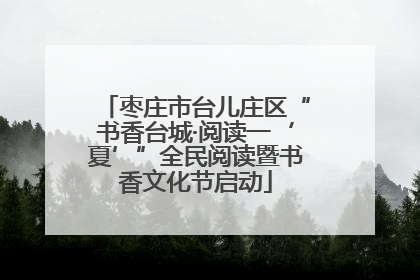 枣庄市台儿庄区“书香台城·阅读一‘夏’”全民阅读暨书香文化节启动