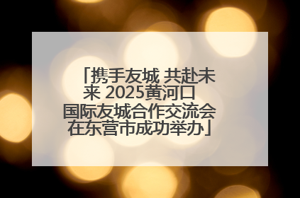 携手友城 共赴未来 2025黄河口国际友城合作交流会在东营市成功举办