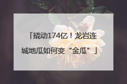 撬动174亿！龙岩连城地瓜如何变“金瓜”