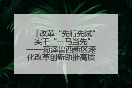 改革“先行先试” 实干“一马当先”——菏泽鲁西新区深化改革创新助推高质量发展纪实