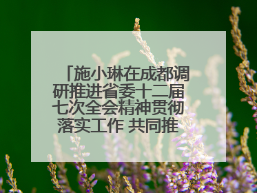 施小琳在成都调研推进省委十二届七次全会精神贯彻落实工作 共同推动文旅深度融合高质量发展 加快打造支柱产业民生产业幸福产业
