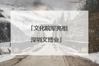 文化皖军亮相深圳文博会