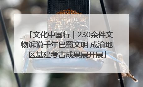 文化中国行｜230余件文物诉说千年巴蜀文明 成渝地区基建考古成果展开展