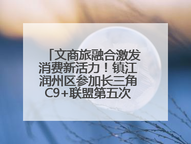 文商旅融合激发消费新活力！镇江润州区参加长三角C9+联盟第五次联席会议
