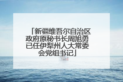 新疆维吾尔自治区政府原秘书长周旭勇已任伊犁州人大常委会党组书记