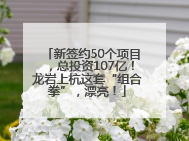 新签约50个项目，总投资107亿！龙岩上杭这套“组合拳”，漂亮！