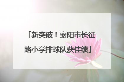 新突破！襄阳市长征路小学排球队获佳绩